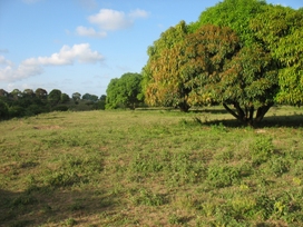 Ricerca terreno per costruzione scuola in Kenya.